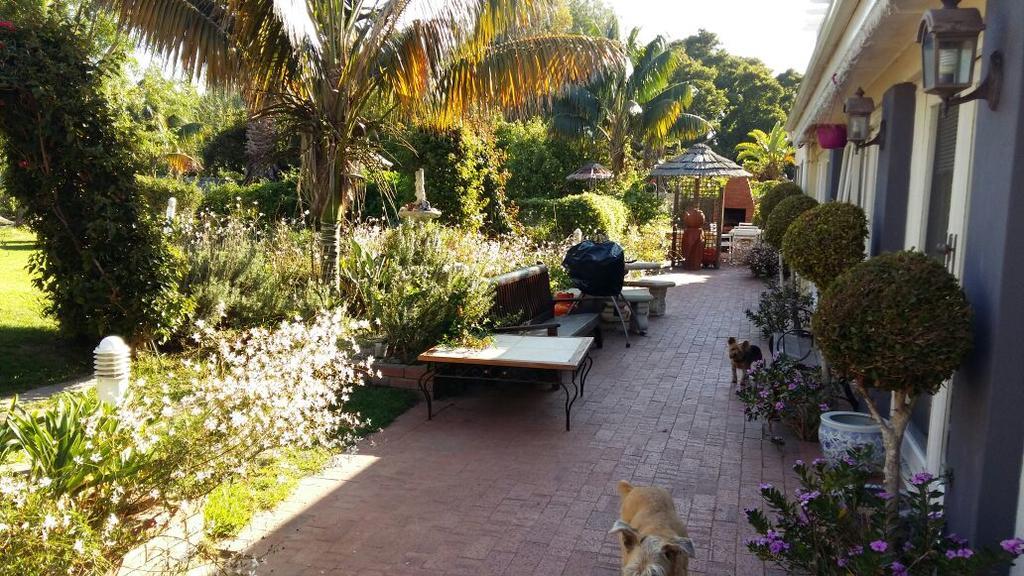 Constantia Lazy River Cape Town Bagian luar foto